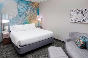 Room, 1 King Bed, Roll-in Shower