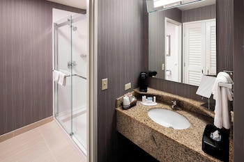 Room, 1 King Bed, Roll-in Shower