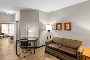 Suite, 1 Bedroom, Non Smoking