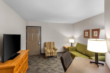 Room, 1 King Bed, Non Smoking