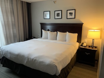Suite, 1 Bedroom, Non Smoking