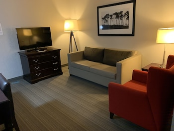 Suite, 1 Bedroom, Non Smoking