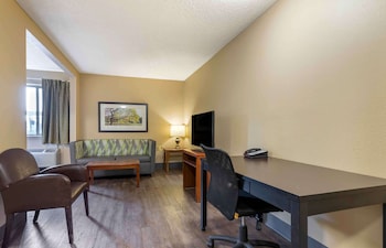 Deluxe Studio, 1 Queen Bed with Sofa bed, Non Smoking
