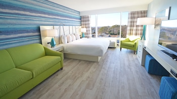 Standard Room, 1 King Bed with Sofa bed (No Pets Allowed)