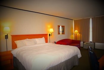 Room, 1 King Bed, Non Smoking