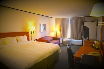 Room, 1 King Bed, Non Smoking