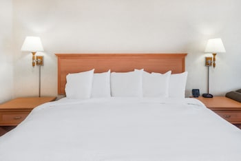 Room, 1 King Bed, Non Smoking