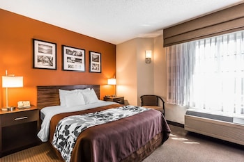 Room, 1 Queen Bed, Non Smoking