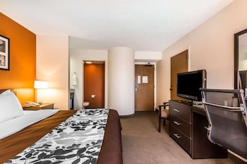 Standard Room, 1 King Bed, Non Smoking