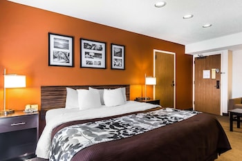 Suite, 1 King Bed, Non Smoking