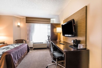 Room, 1 Queen Bed, Non Smoking