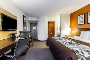 Standard Room, 1 King Bed, Non Smoking