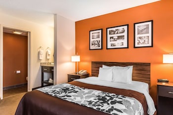 Room, 1 Queen Bed, Non Smoking