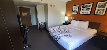 Room, 1 Queen Bed, Accessible, Non Smoking