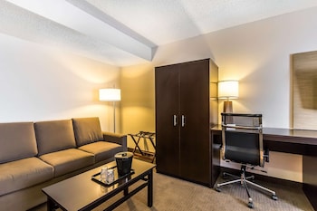 Suite, 1 King Bed, Non Smoking