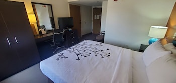 Room, 1 Queen Bed, Accessible, Non Smoking