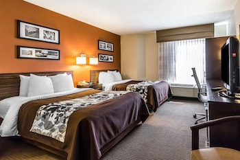 Standard Room, 2 Double Beds, Non Smoking