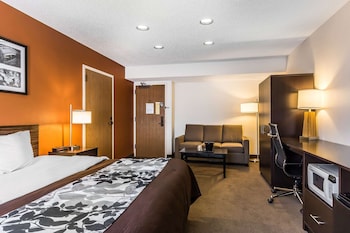 Suite, 1 King Bed, Non Smoking