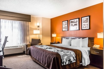 Standard Room, 1 King Bed, Non Smoking