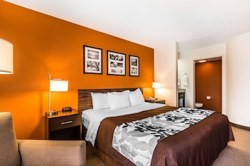 Standard Room, 1 King Bed, Non Smoking