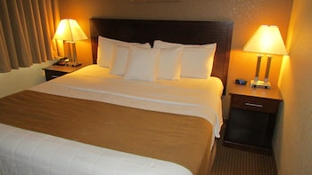 Standard Room, 1 King Bed, Non Smoking
