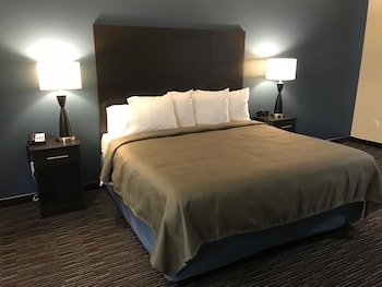 Room, 1 King Bed, Non Smoking