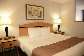 Room, 1 King Bed