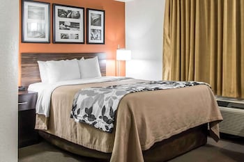 Room, 1 Queen Bed, Accessible, Non Smoking