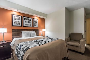 Room, 1 Queen Bed, Accessible, Non Smoking