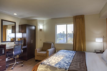 Standard Room, 1 King Bed, Non Smoking