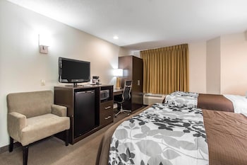 Standard Double Room, 2 Double Beds, Non Smoking