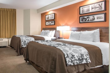 Standard Double Room, 2 Double Beds, Non Smoking
