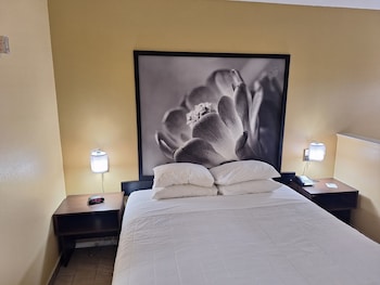 Room, 1 King Bed with Sofa bed, Non Smoking (First Floor)