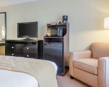 Standard Room, 1 King Bed, Accessible, Non Smoking