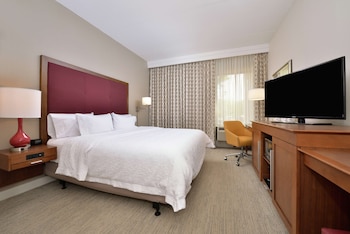 Room, 1 King Bed, Accessible, Bathtub (Mobility & Hearing)