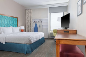 Room, 1 King Bed, Accessible, Bathtub (Mobility & Hearing)