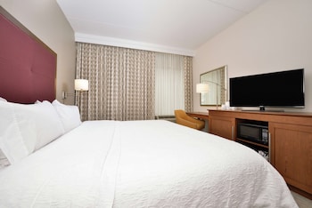 Room, 1 King Bed, Accessible, Bathtub (Mobility & Hearing)