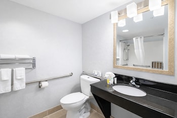 Standard Room, 1 King Bed, Accessible (Non-Smoking Handicap King Room)