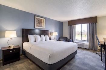 Standard Room, 1 King Bed (Non-Smoking King Room)