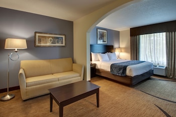 Superior Suite, 1 King Bed (Non-Smoking Standard Suite)