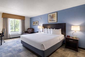Standard Room, 1 King Bed, Accessible (Non-Smoking Handicap King Room)