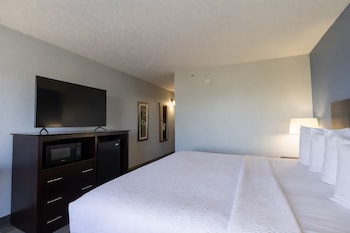 Standard Room, 1 King Bed (Non-Smoking King Room)