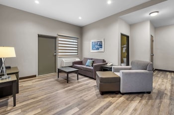 Standard Room, 1 King Bed, Non Smoking, Kitchenette (Walk-in Shower;with Sofabed)