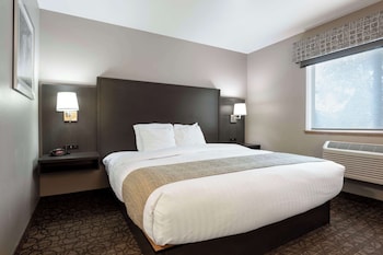 Standard Room, 1 King Bed, Non Smoking, Kitchenette (Walk-in Shower;with Sofabed)