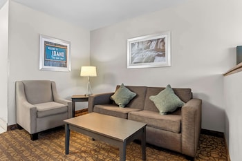 Standard Room, 1 King Bed with Sofa bed, Non Smoking, Refrigerator & Microwave (with Sofabed)