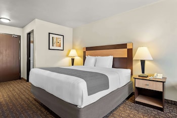 Standard Room, 1 King Bed, Non Smoking, Refrigerator