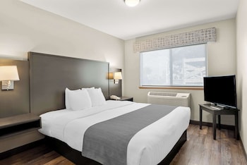 Standard Apartment, 1 King Bed with Sofa bed, Non Smoking, Kitchen (with Sofabed)