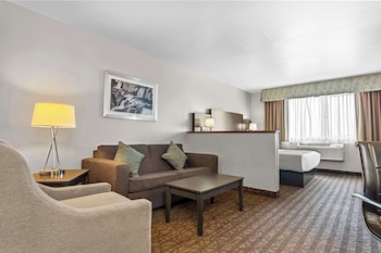 Standard Room, 1 King Bed with Sofa bed, Non Smoking, Refrigerator & Microwave (with Sofabed)