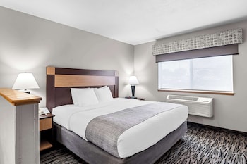 Standard Room, 1 King Bed with Sofa bed, Non Smoking, Refrigerator & Microwave (with Sofabed)