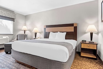 Standard Room, 1 King Bed, Accessible, Non Smoking